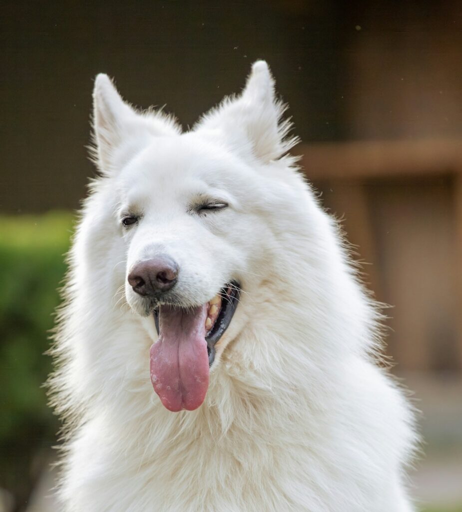 Featured Image 7 E1767120530503 925x1024